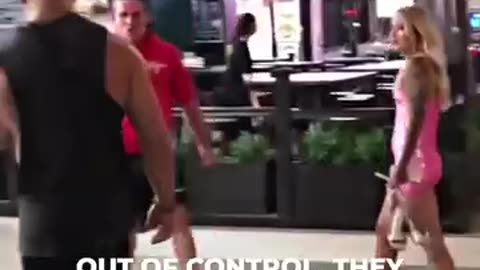 Trained Vs. Untrained See The Difference