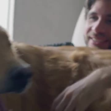 Why Dogs Can Understand Human Emotions