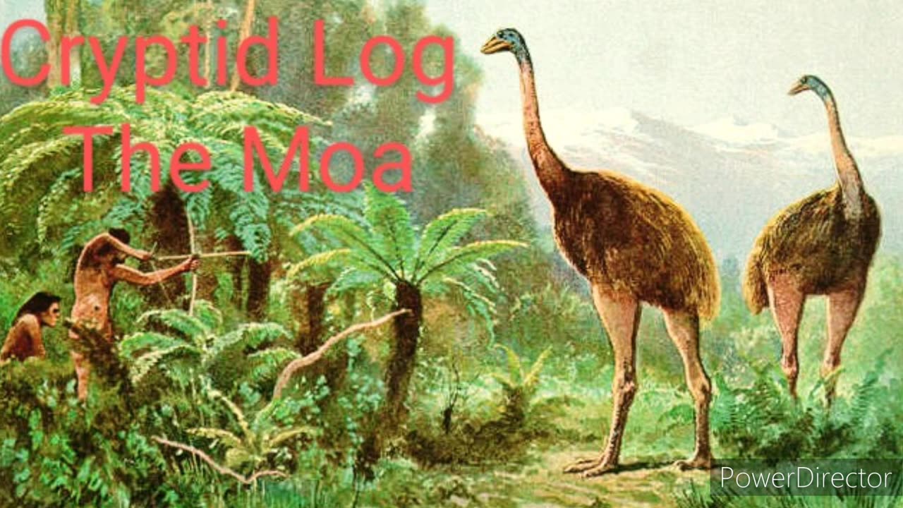 Cryptid log the moa