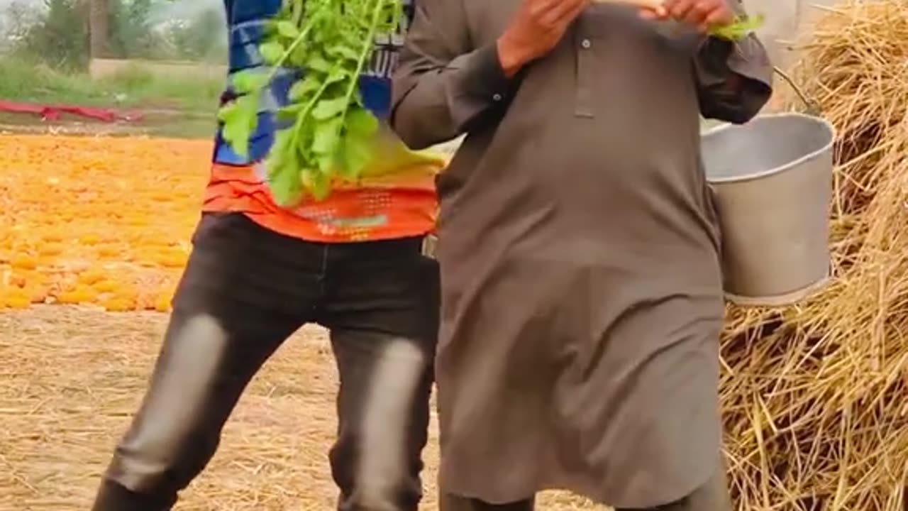 Vegetables prank video with shopkeeper don't miss end