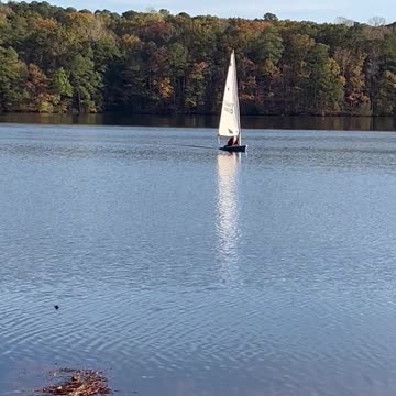 Do you feel like a Sailboat?