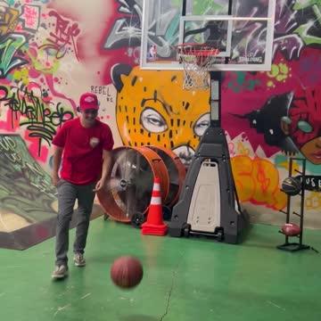 skateboarding lil waynes private park