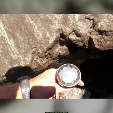 Hidden Treasures Unveiling the Secrets of My New Swim Shoes