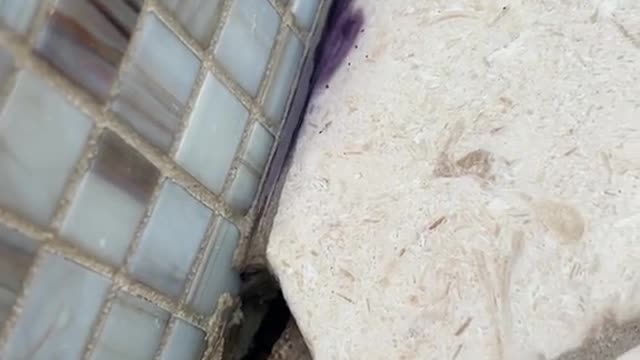 is pool has beenleaking sbe it was built two years ago and no one could find the leak
