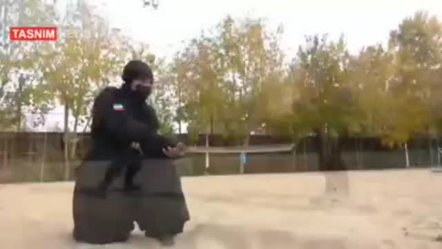 Iranian Female Gestapo