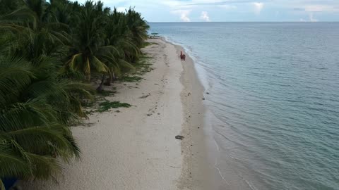 The most beautiful beach in the world