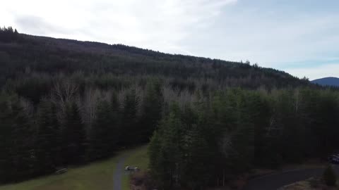 2nd Drone Flight 1/14/22