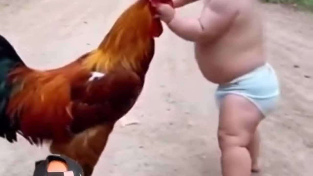 Baby vs Cock