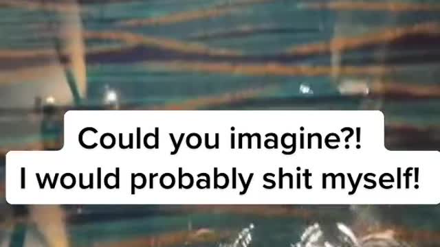 Could you imagine?!I would probably shit myself!