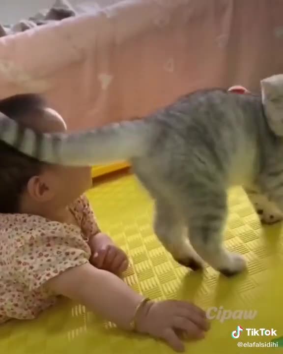 Brawny kids and cats😂