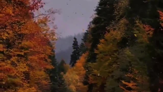 The weather is getting colder. Autumn is leaving, and even the leaves can't be kept