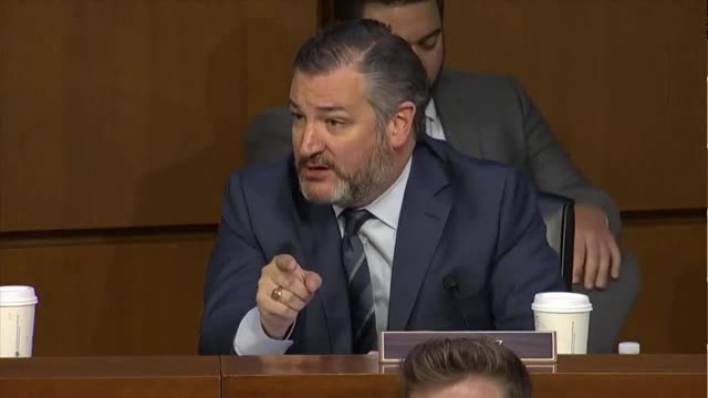 Sen. Cruz Blasts Democrats: They Will Crush You, Attack You, Slander You, Filibuster You