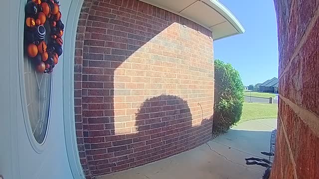 Kiddo Gets Spooked by Halloween Decoration