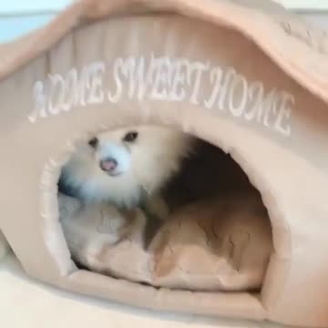 20180728文贵先生视频：应战友们的要求看snow！我录一段视频给尊敬的战友们！请允许我代表sonw向大家表示衷心感谢！