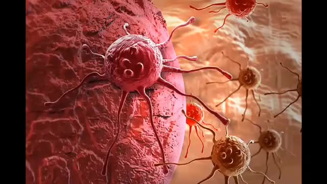Vėžys išgydomas B17 vitaminu, jo negydo dėl farmacininkų biznio