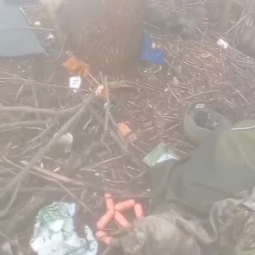 . They died for the victory of Zelensky. They won't get up again...