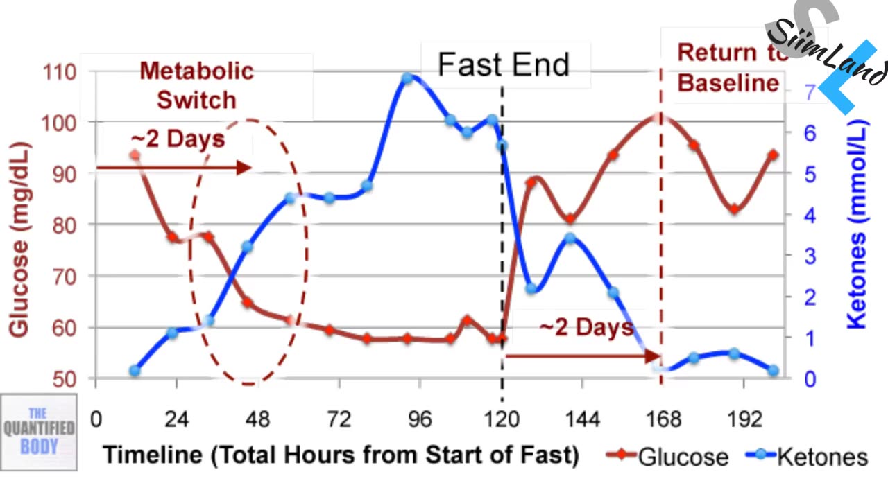 The Easiest Way to Get Into Ketosis and Lose Weight