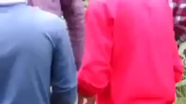 Southern Border | Worst Human Trafficking In History