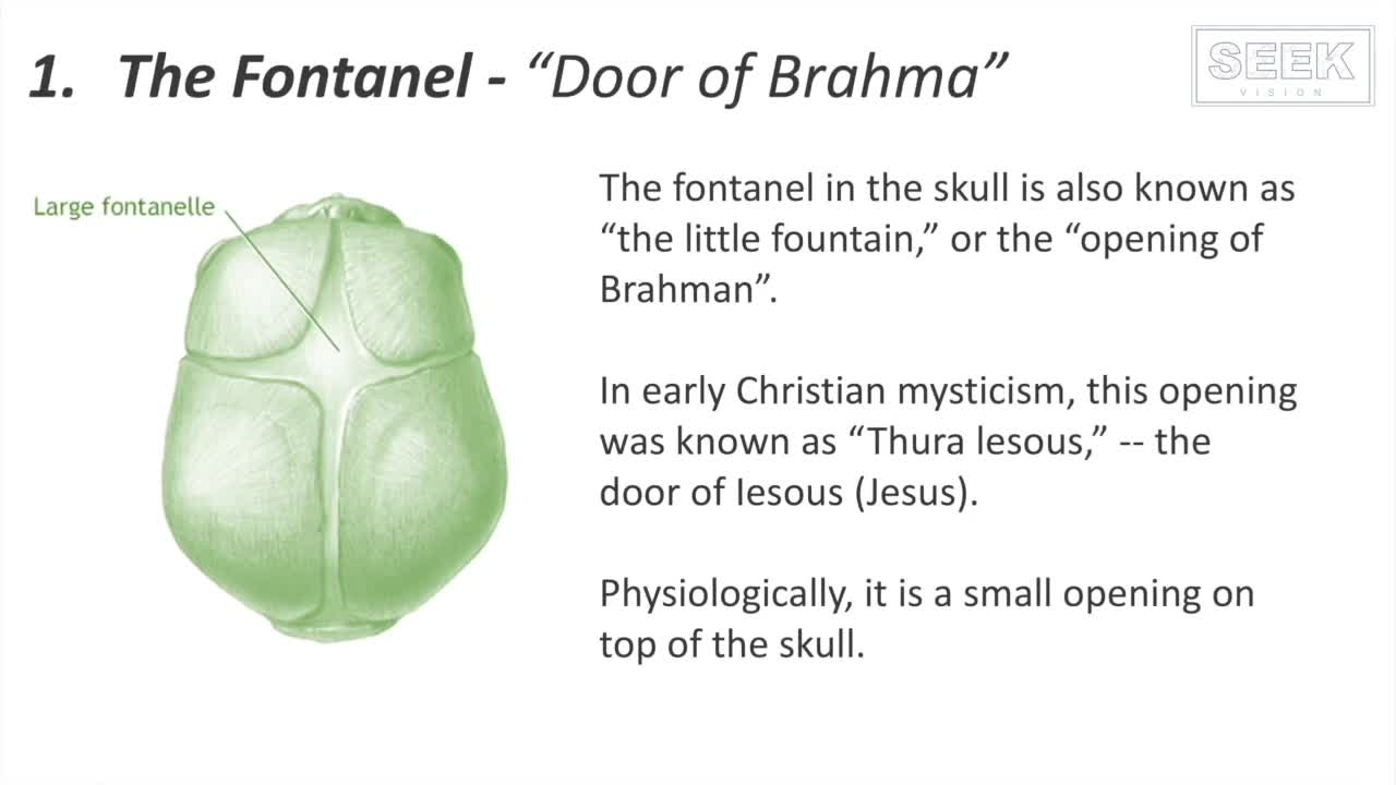 LIGHT (Electromagnetic Energy) enters through your Door of Jesus or Brahma