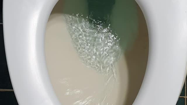 Korean toilet flush video