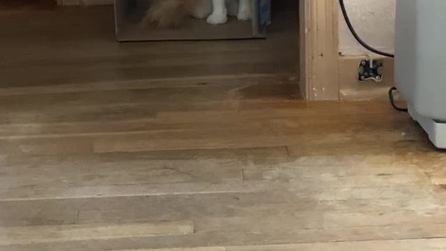 Jasper may see something we don’t