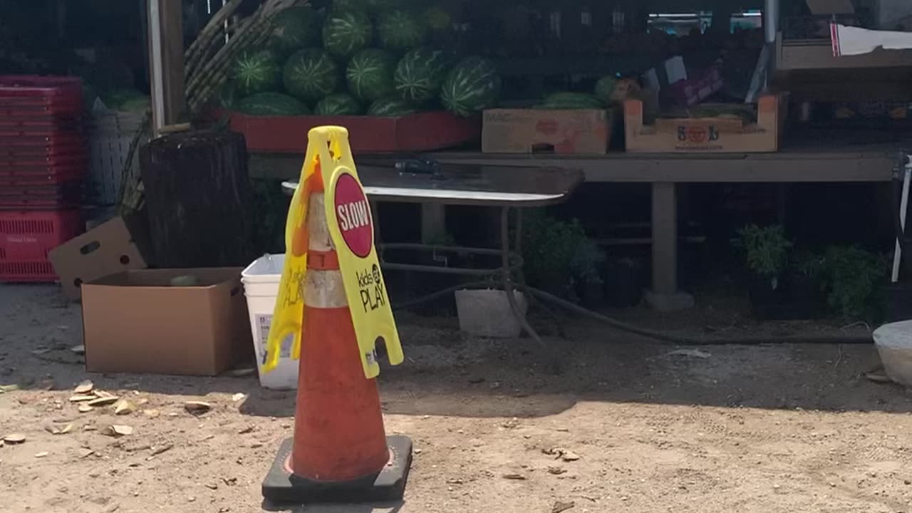 Flea Market Fresh Taco