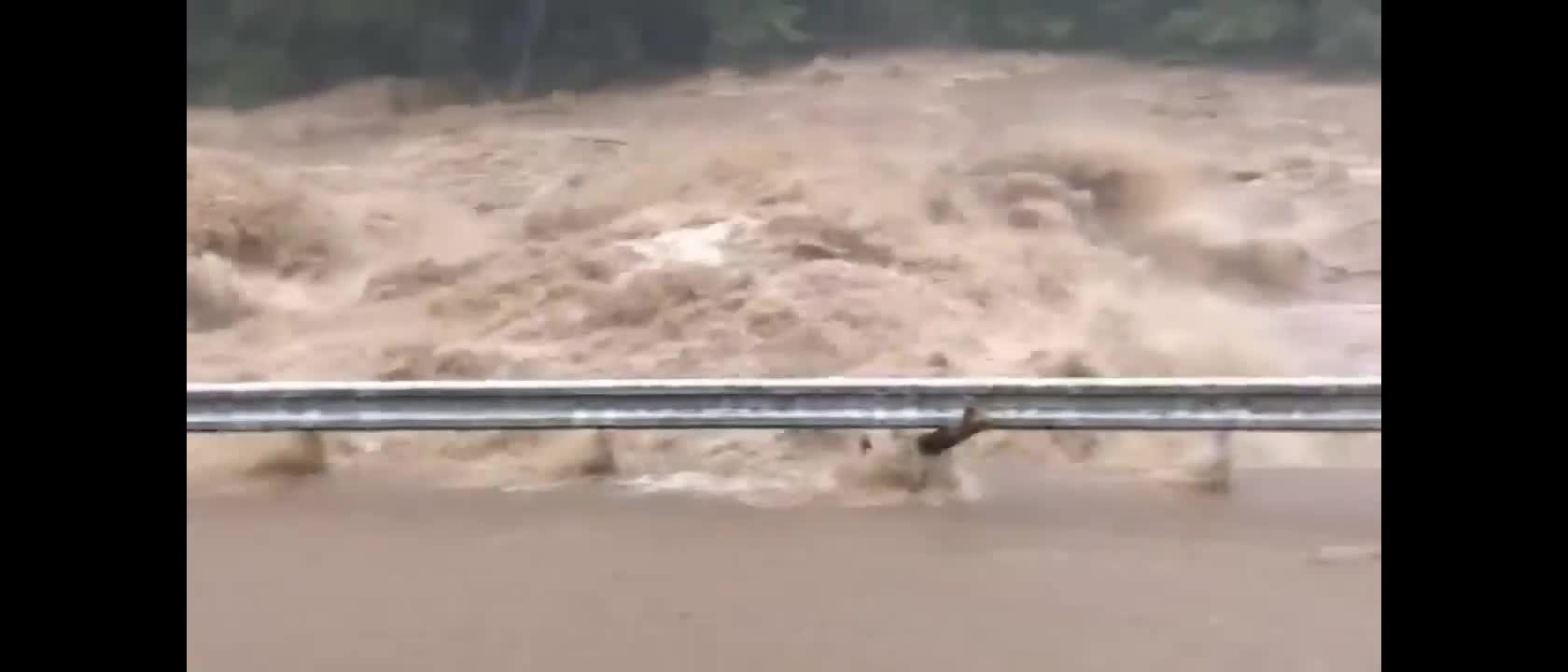 Footage of the worst typhoon in Japanese history!