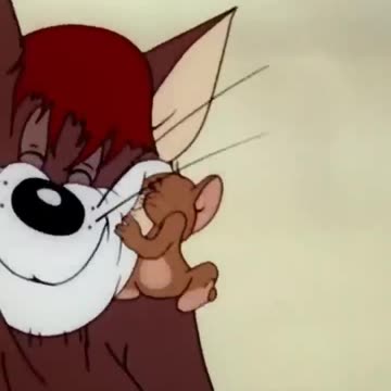 Несчастные коты (1)