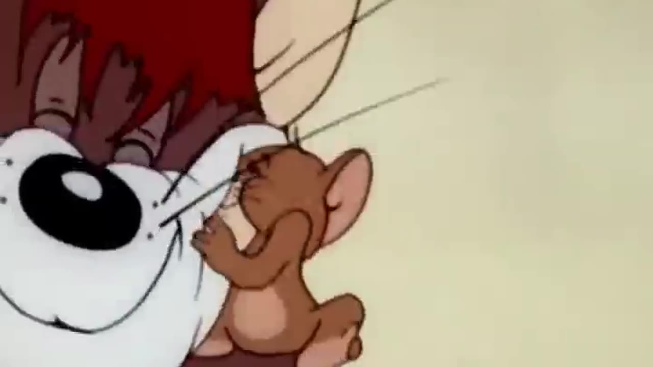 Несчастные коты (1)