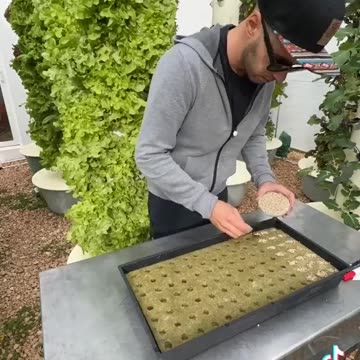 Vertical Garden. Self sustaining urban farming!