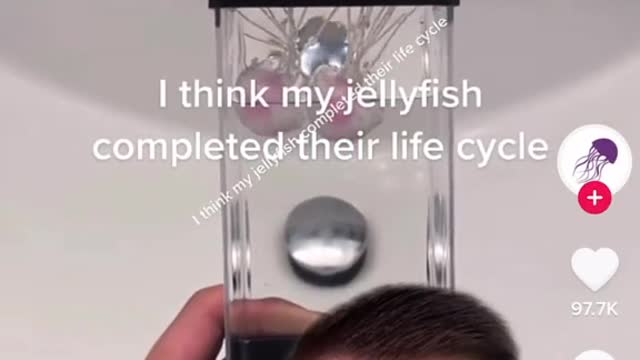 Bye