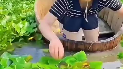 Don't mistake it for a road. Red Floating Plants 😱