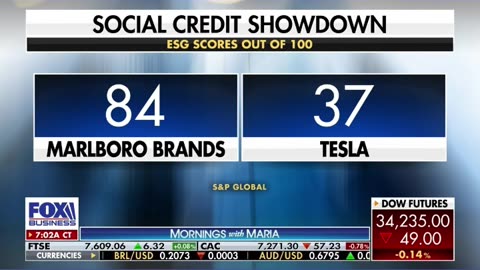 Elon Musk calls ESG ‘the devil’ as S&P Global gives Tesla low social credit score #shorts