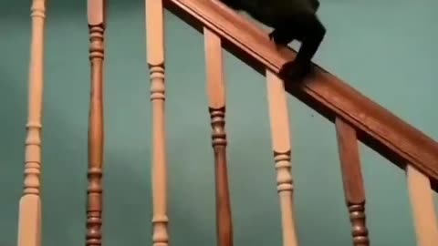 Stairway to the bottom