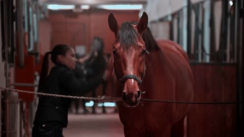 Riding a horse - young woman is combing her nite horse