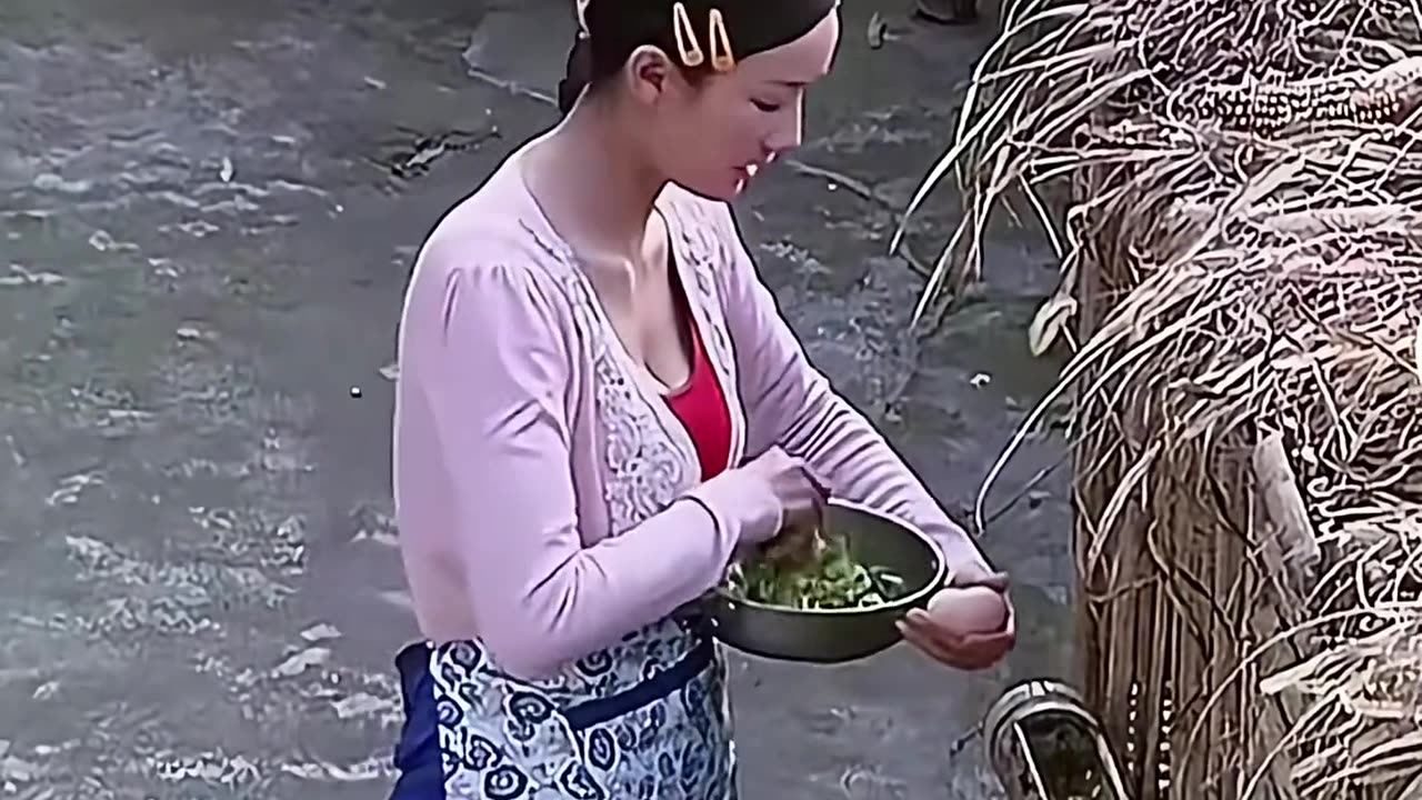 Funny videos