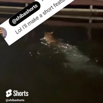 Fishing for Karens Sometimes You Just Need a Midnight Dunk in the Lake