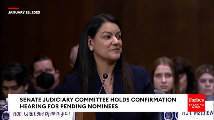 WATCH: Basic Questions About Constitution Stump Biden Judicial Nominee