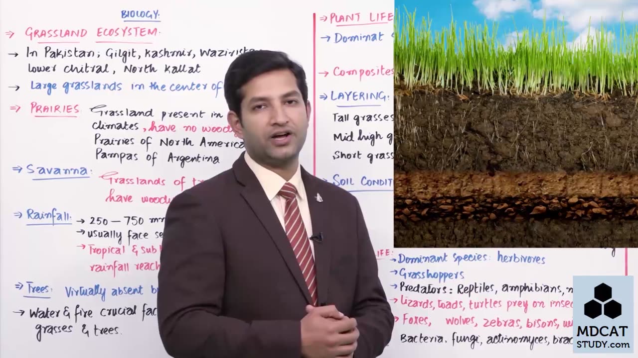 LEC#6 GRASS LAND ECOSYSTEM