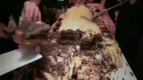 Satanský večírek pro elitu v režii Marina Abrahamovič