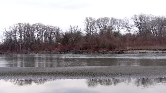 BIRDS SINGING IN THE FOREST AND THE SOUND OF WATER. SOUNDS OF NATURE RUSSIA February, 2022