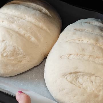 Loaves of bread ready for the oven