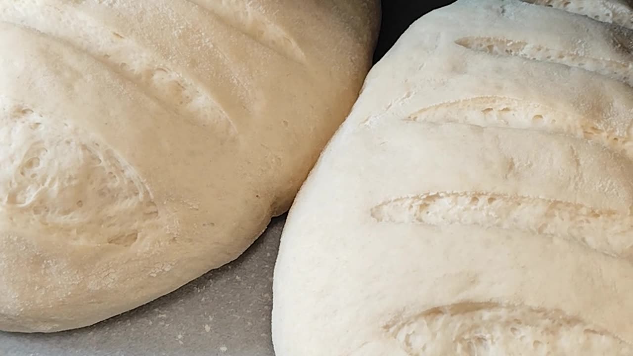 Loaves of bread ready for the oven