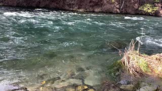 The Clarity of Metolius River – Central Oregon