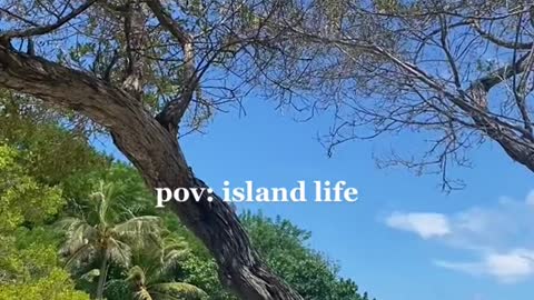 pov: island life