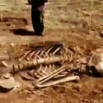 Everyone has heard of the giant characters from tales or legends.