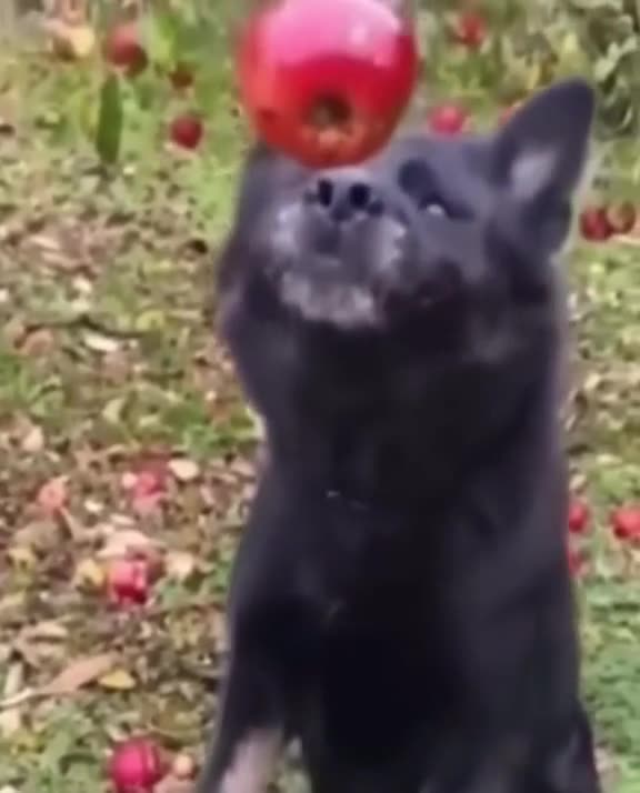 Awesome facial expressions 😍😍😍😍