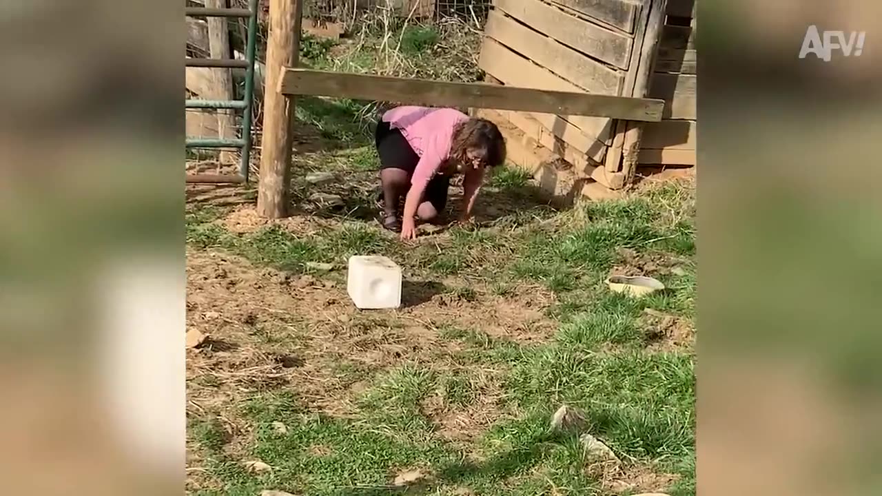 You Cannot Get Enough of These BACKYARD FAILS!!! 🤣🌳 Funny Videos Compilation | AFV 2023