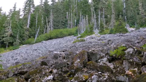 Mount Rainier National Park - Nature Relax Video, Summer Scenery