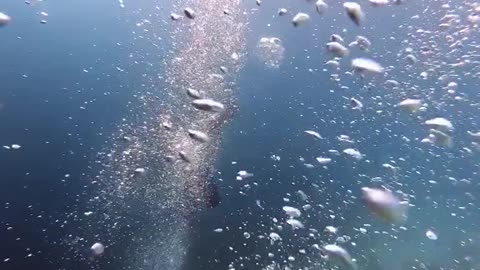 Diving on the deep sea